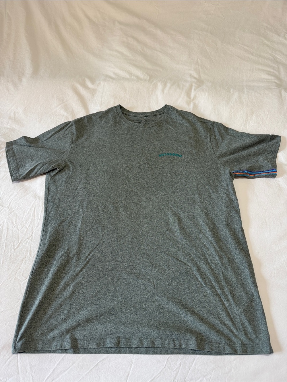 Patagonia Gray Short Sleeve Crew Tee with Mountains Logo Men’s Medium